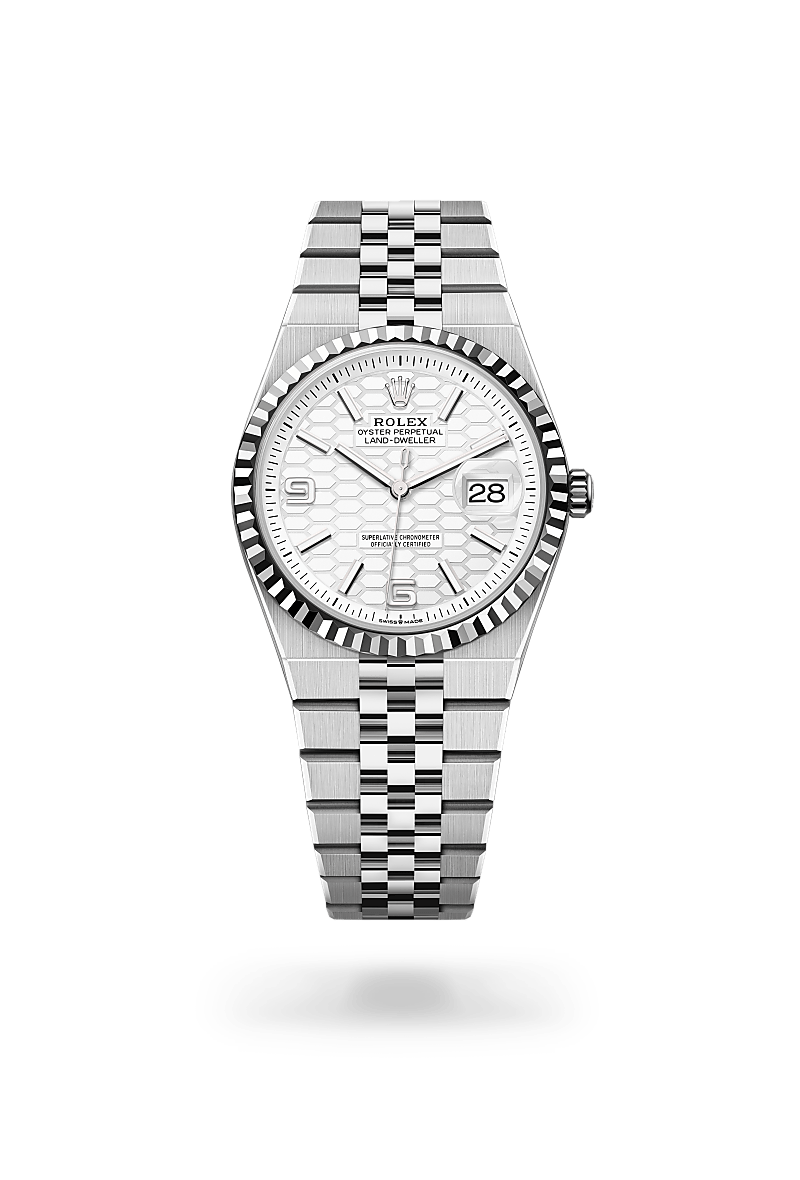 Land-Dweller 36 — Oystersteel and white gold