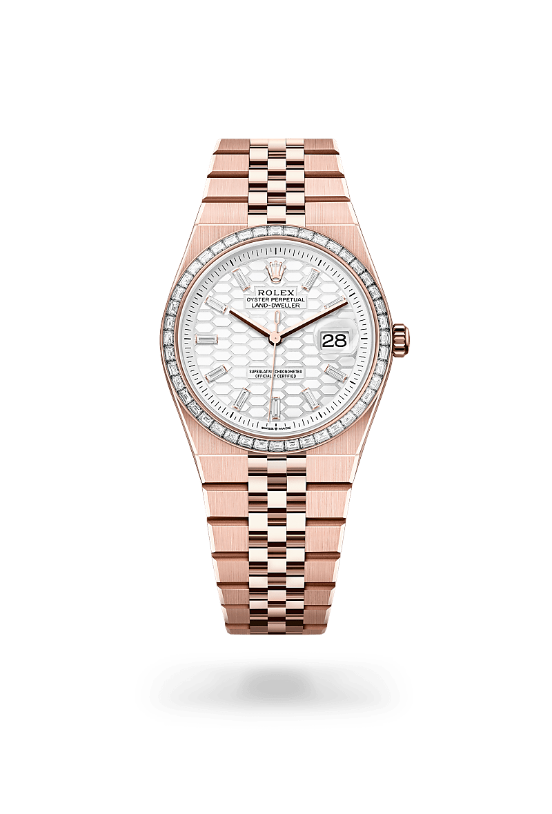 Land-Dweller 36 — Everose gold and diamonds
